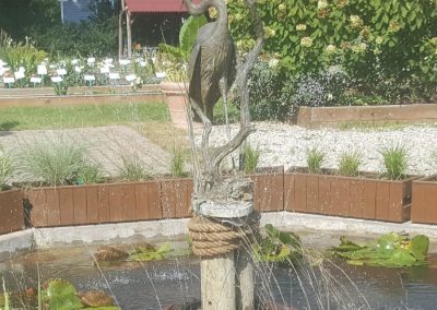 Koi Fish Pond Services