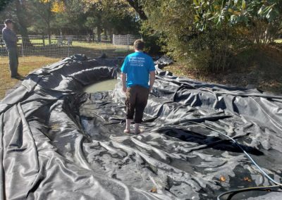 Koi Pond Maintenance