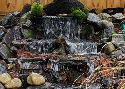 Garden Pond Cleaning Services