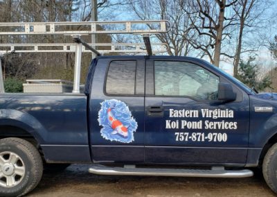 Eastern Virginia Koi Pond Services