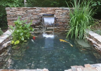 Koi Fish Pond