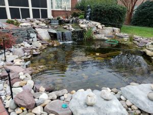 ponds contractor