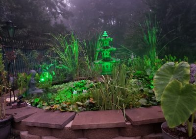 Koi Fish Pond