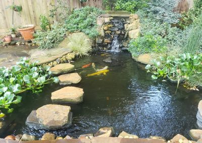 Pond Installation